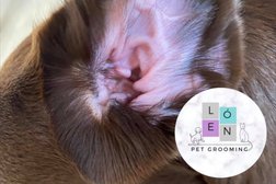 Pet Grooming León