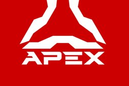 Grupo Apex s.a.